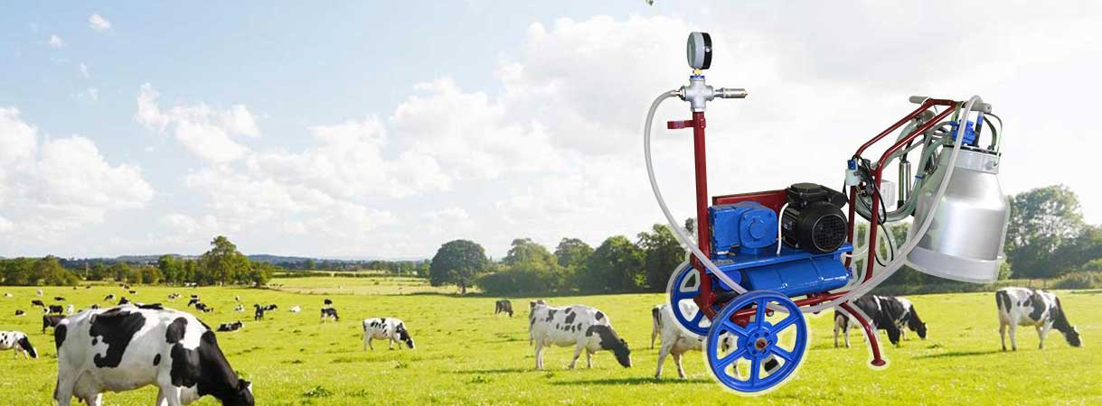 Только в декабре «Мы дарим скидку 27%» Только в декабре «Мы дарим скидку 27%»